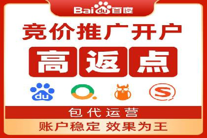 某品牌SEM代运营的成长历程与启示